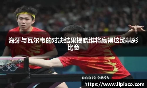 mk体育官网入口