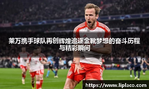 mk体育在线官网